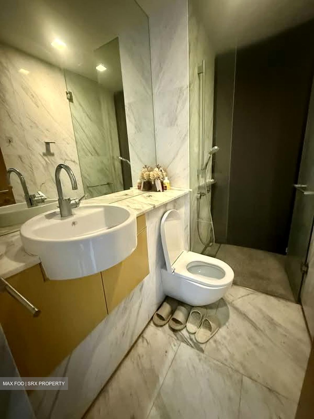 Newton Suites (D11), Apartment #556886111